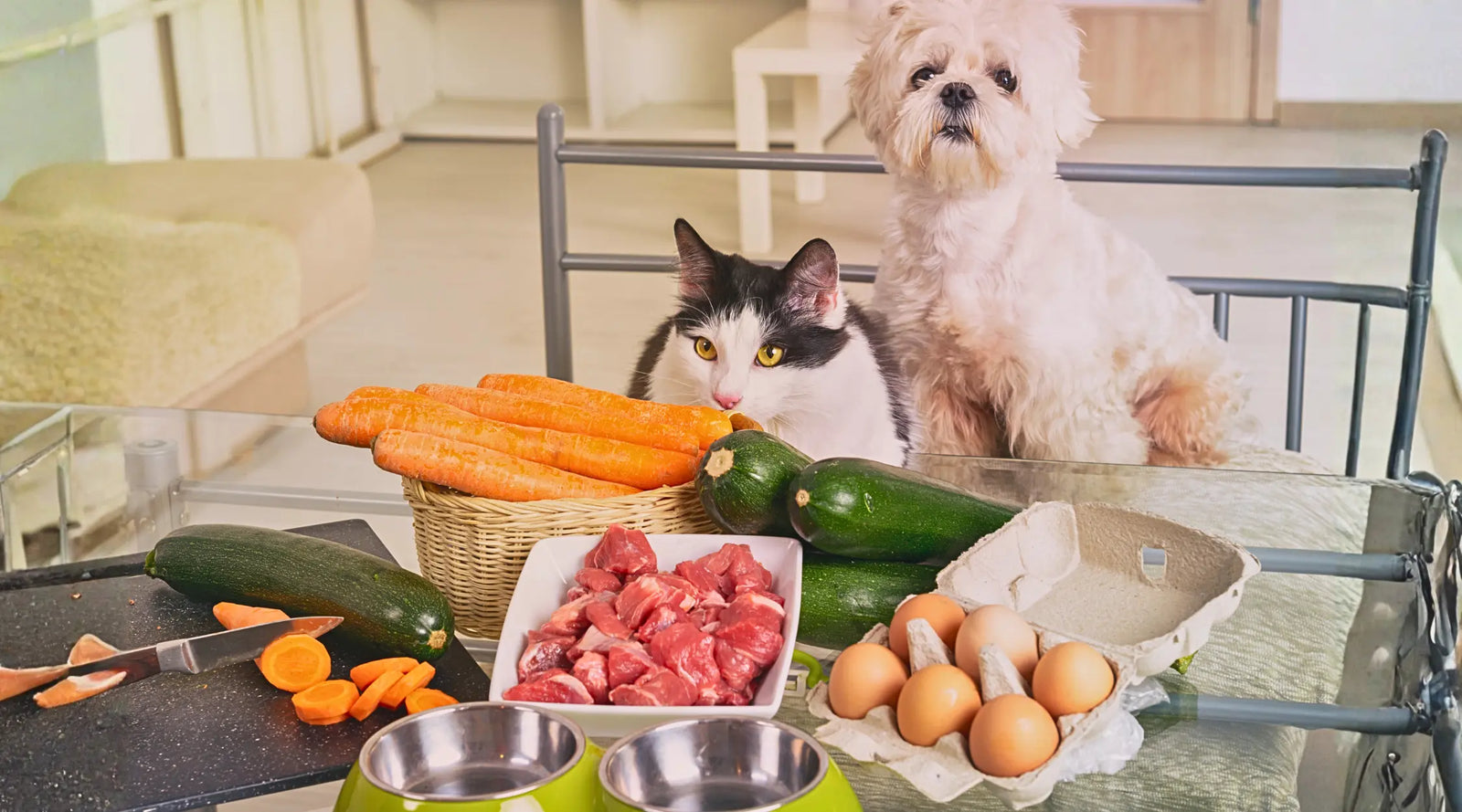 Human Grade, Food Grade or Feed Grade? How to Read a Pet Supplement Label
