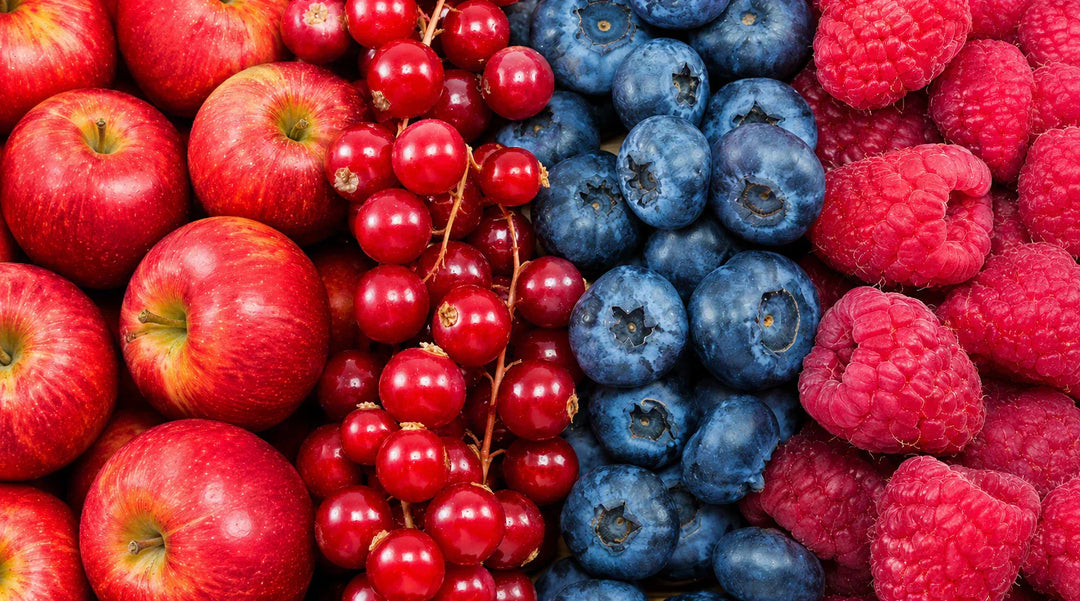 Which Berries Can Dogs Eat? An Australian Safety and Nutrition Guide