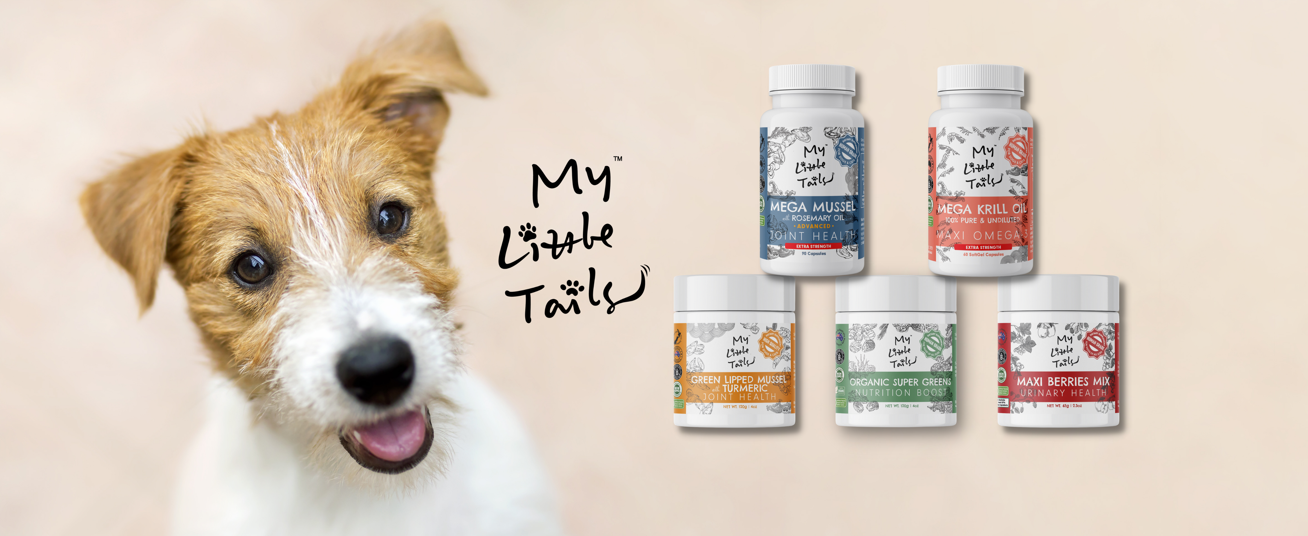 Bundles & Best Value