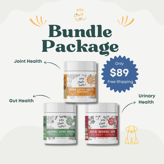 [Bundle Package] Essential Wellness Bundle for Dogs - Meal Topping Powders