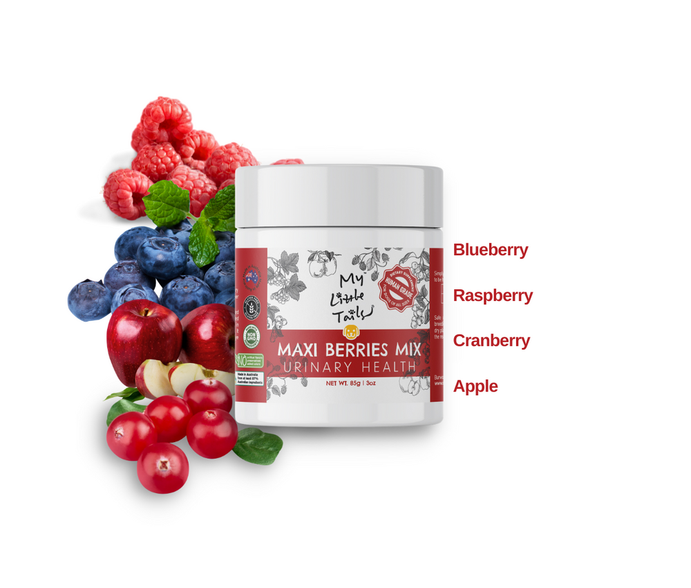 Freeze-Dried Berries for Dogs - Meal Topper - Urinary & Eye Health