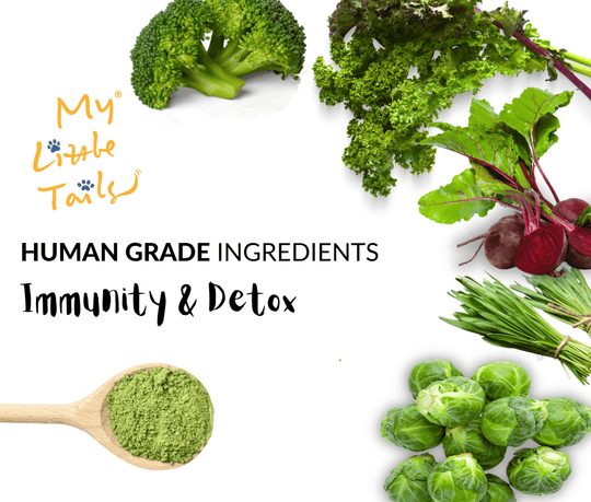 Organic Greens for Dogs of All Sizes - Meal Topper Powder - Immunity & Detox