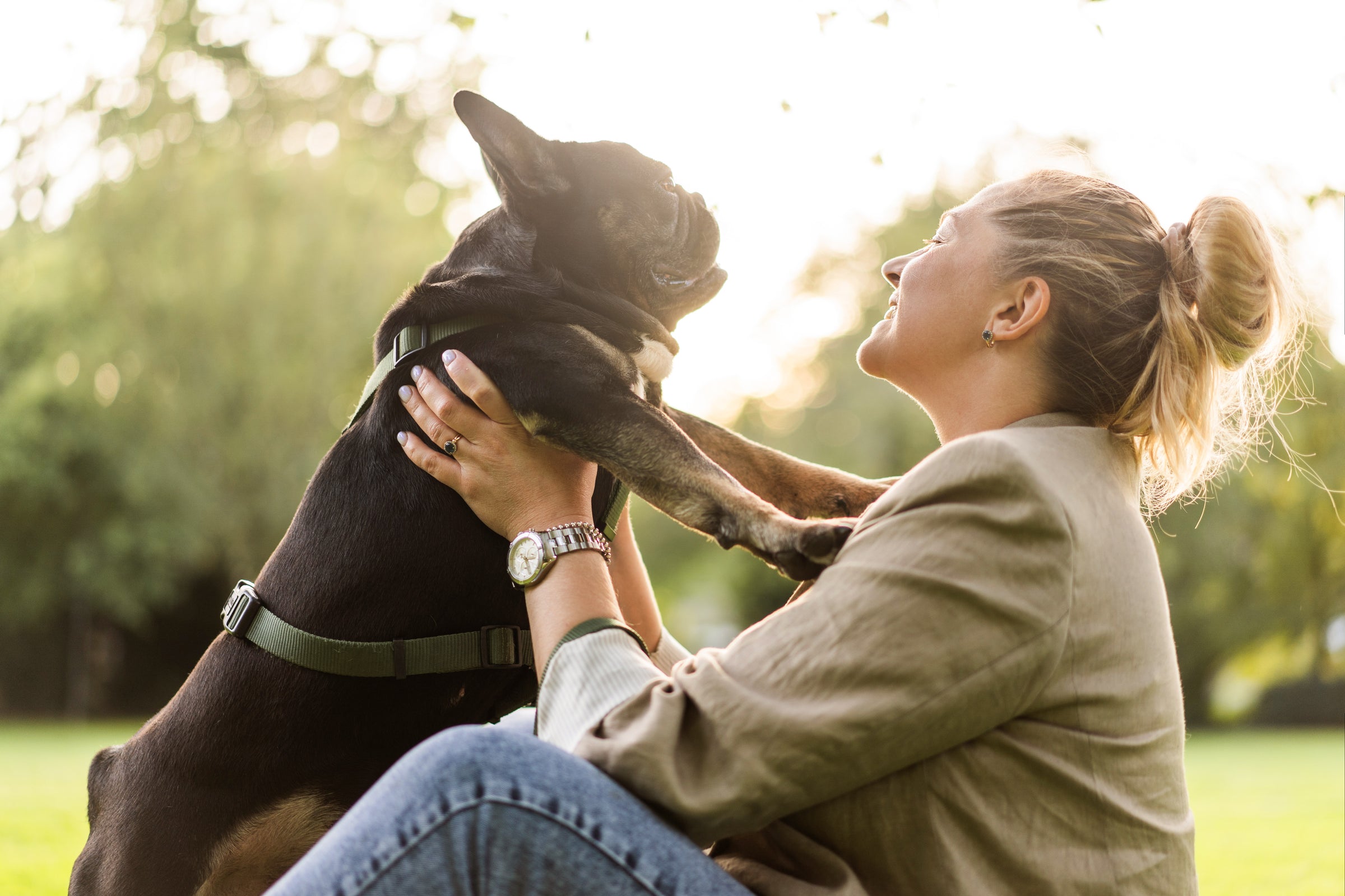 My Little Tails - Keep Your Best Friend Healthy