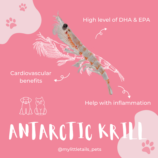 [Mini 90 Capsules] Krill Oil for Small Dogs & Cats - HUMAN GRADE - Maxi Omega-3