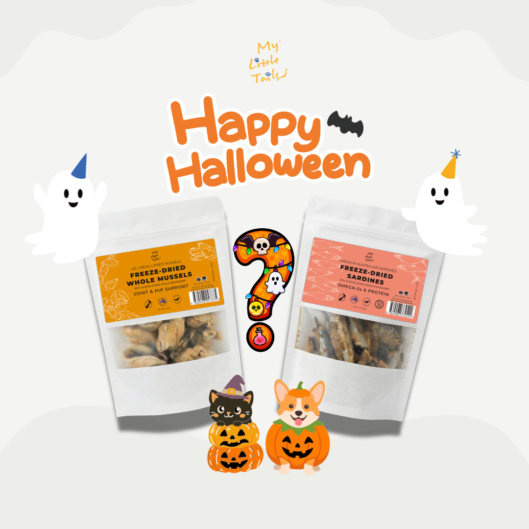 🎃 Free Halloween Mystery Treat Bag (50g)