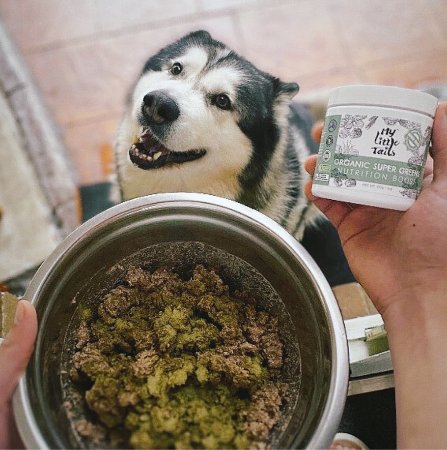 [Bundle Package] Essential Wellness Bundle for Dogs - Meal Topping Powders