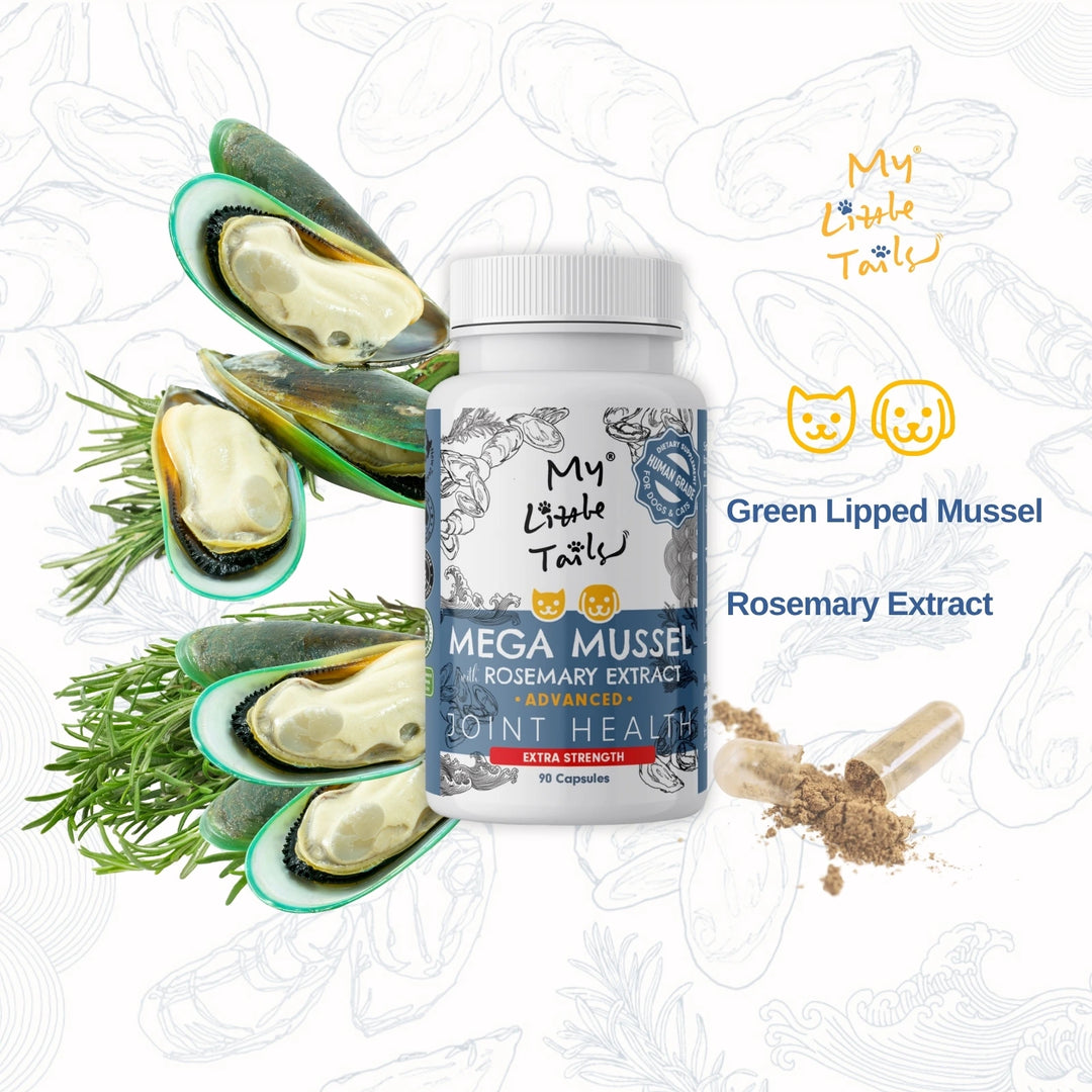 NZ Green Lipped Mussel for Dogs & Cats | Hip and Joint Supplements| HUMAN GRADE