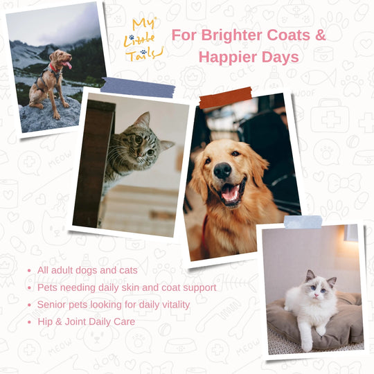 [Mini 90 Capsules] Krill Oil for Dogs & Cats - HUMAN GRADE - Maxi Omega-3