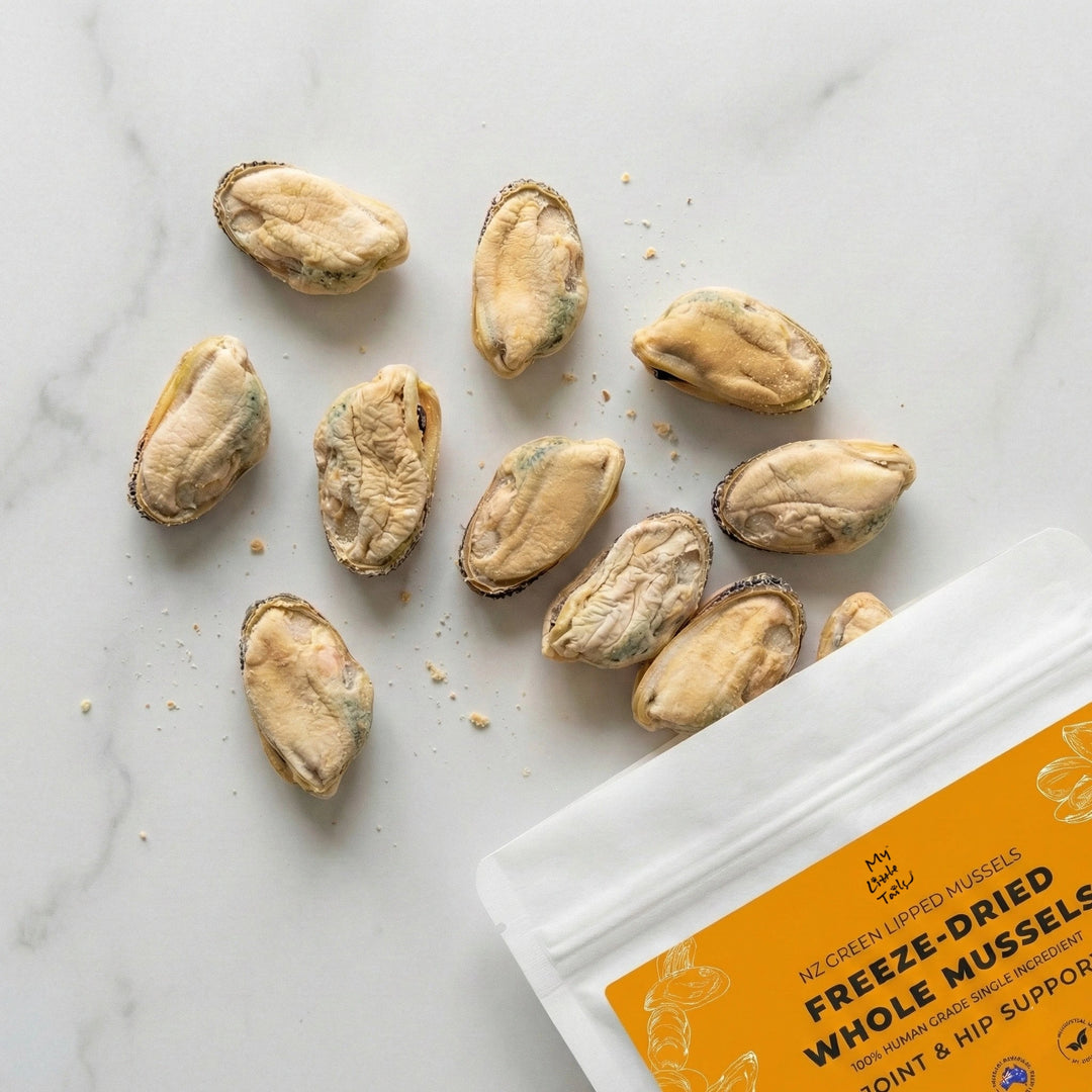 Freeze-Dried Whole Green Lipped Mussels Treats 50g for Cats & Dogs