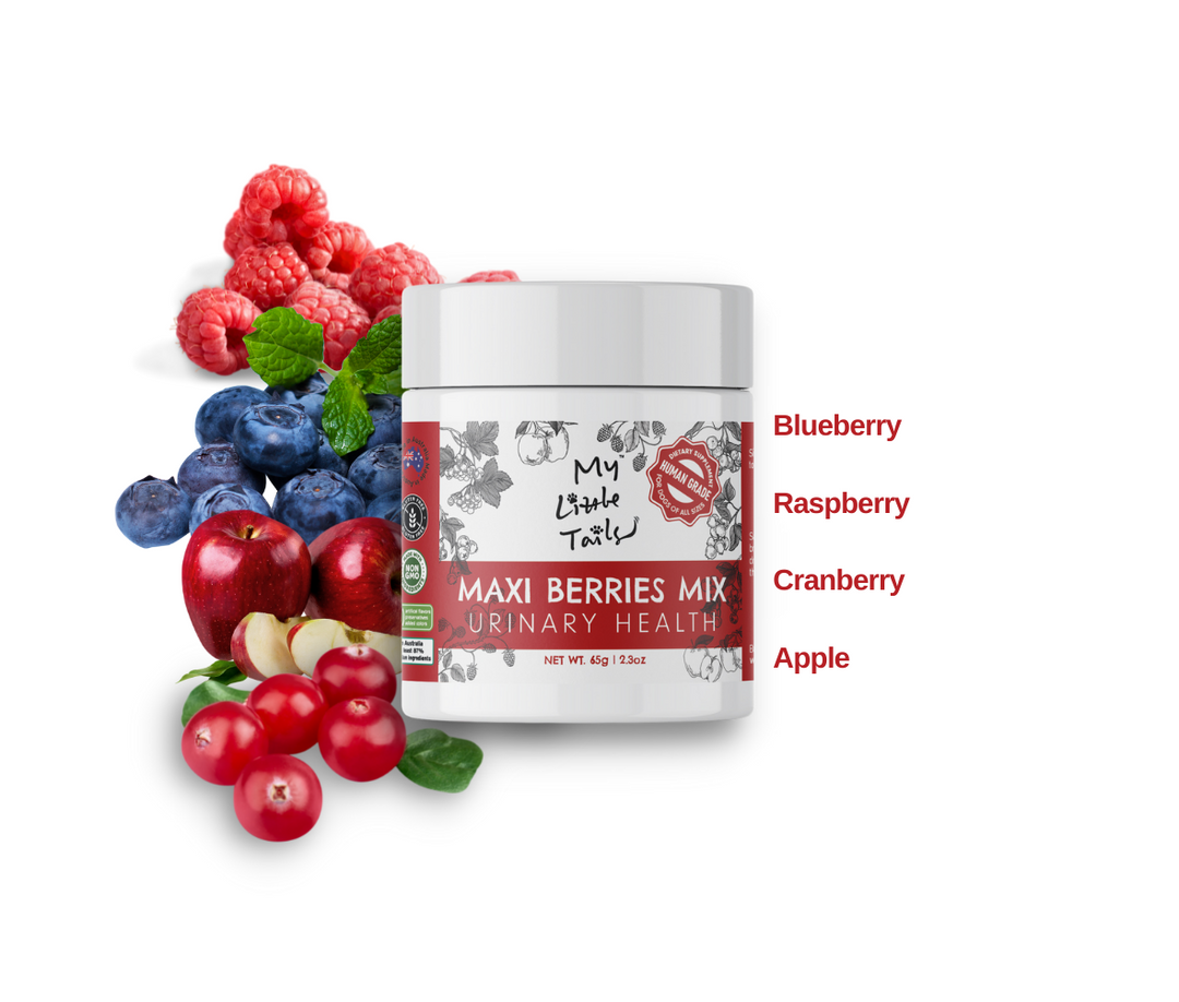 Freeze-Dried Berries for Dogs - Meal Topper - Urinary & Eye Health