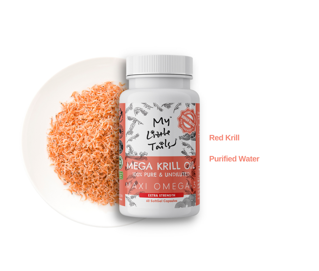 Krill Oil for Dogs & Cats - Maxi Omega-3 SoftGel with HUMAN GRADE